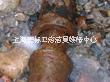 南橋水管漏水檢測 上海水管漏水查漏維修