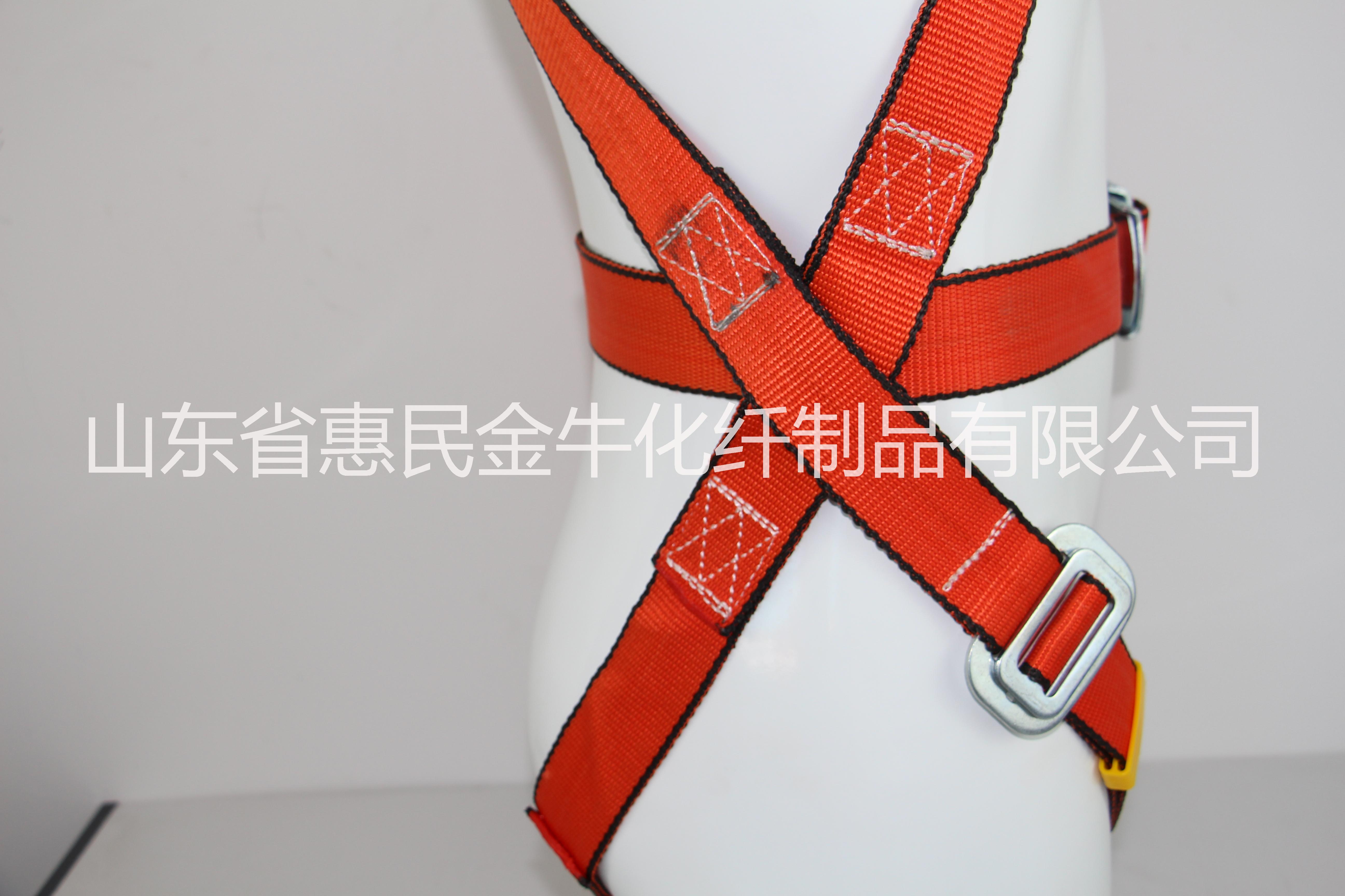 供應(yīng)泰豐牌簡(jiǎn)易全身式安全帶廠家，全身安全網(wǎng)生產(chǎn)廠家