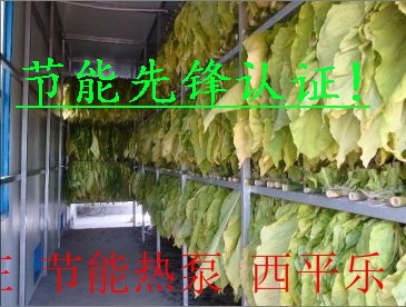 蘑菇微波烘干設(shè)備