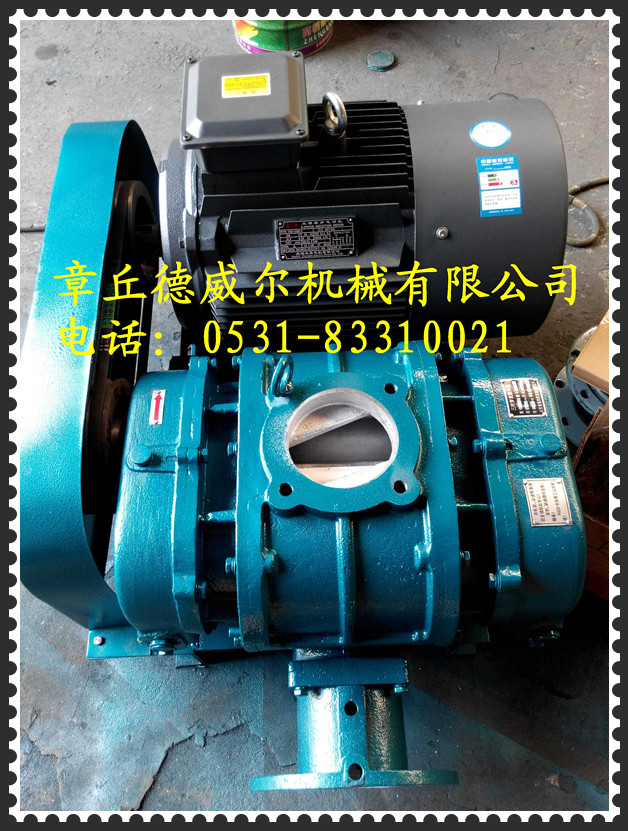 供應(yīng)廈門哪里維修羅茨風(fēng)機(jī)