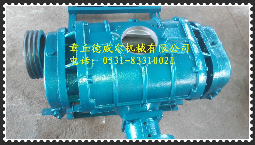 供應(yīng)烏魯木齊哪里維修羅茨風(fēng)機(jī)