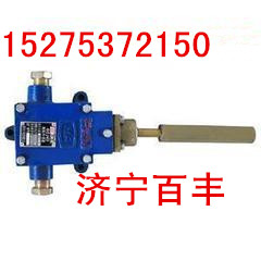 供應(yīng)GEJ30礦用本安跑偏開關(guān)