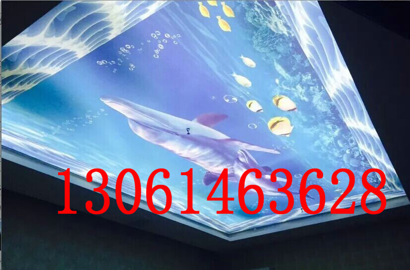 供應(yīng)萊蕪洗浴軟膜吊頂，萊蕪吊頂軟膜天花寫真，萊蕪?fù)腹廛浤?  title=