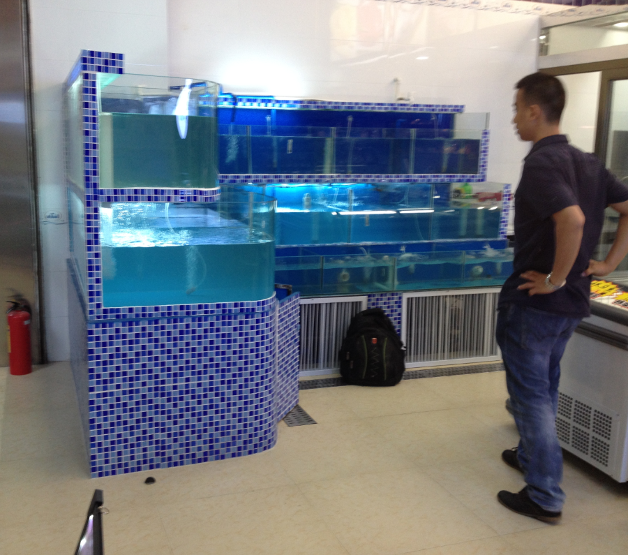 廣州廠家銷售海鮮魚池/廣州酒店餐飲海鮮制冷魚池訂做