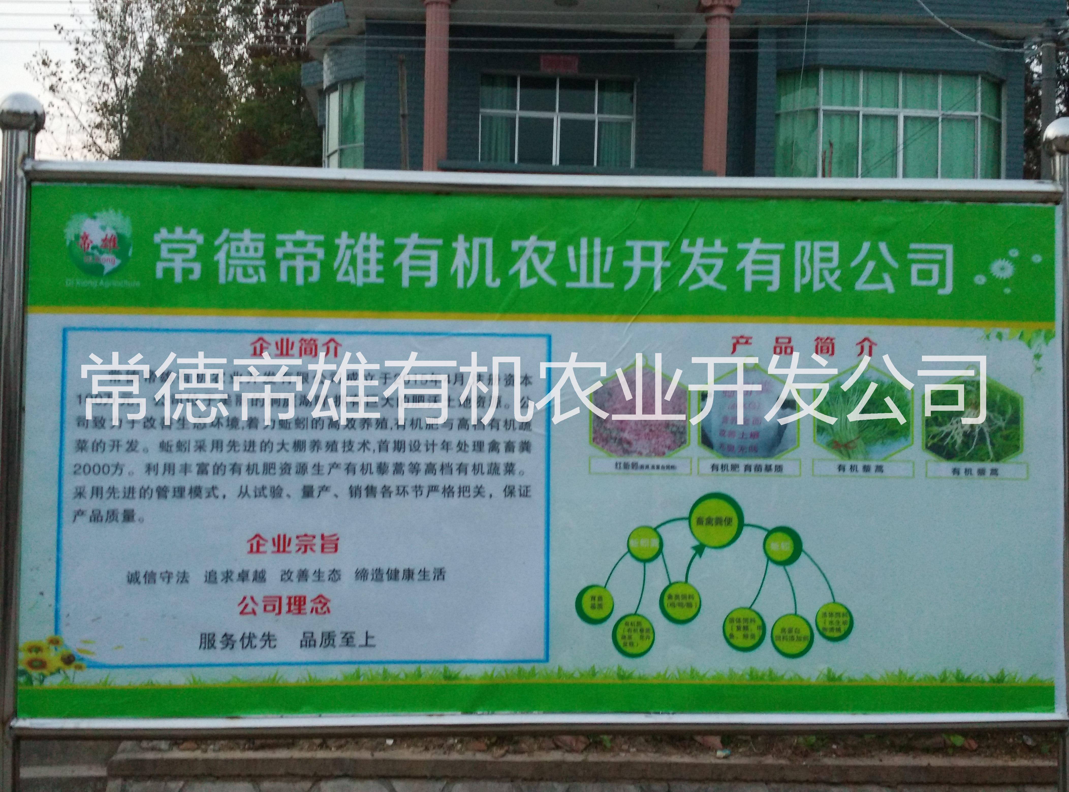 供應(yīng)紅蚯蚓大平二號(hào)  中藥地龍 批發(fā)湖南紅蚯蚓 批發(fā)常德蚯蚓 供應(yīng)藥用蚯蚓