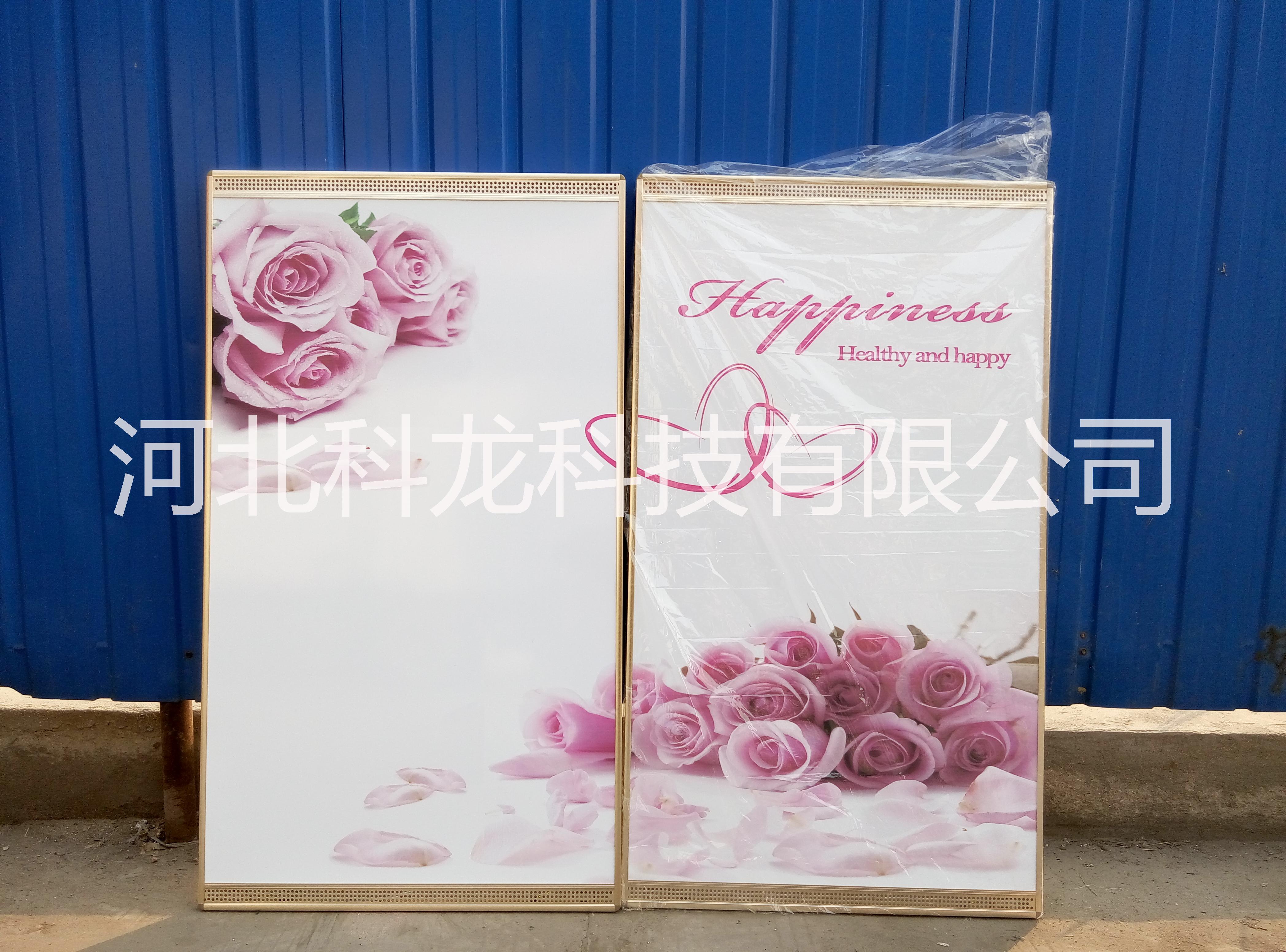 供應(yīng)平?jīng)鎏季щ娕鲀r(jià)格/白銀電地暖