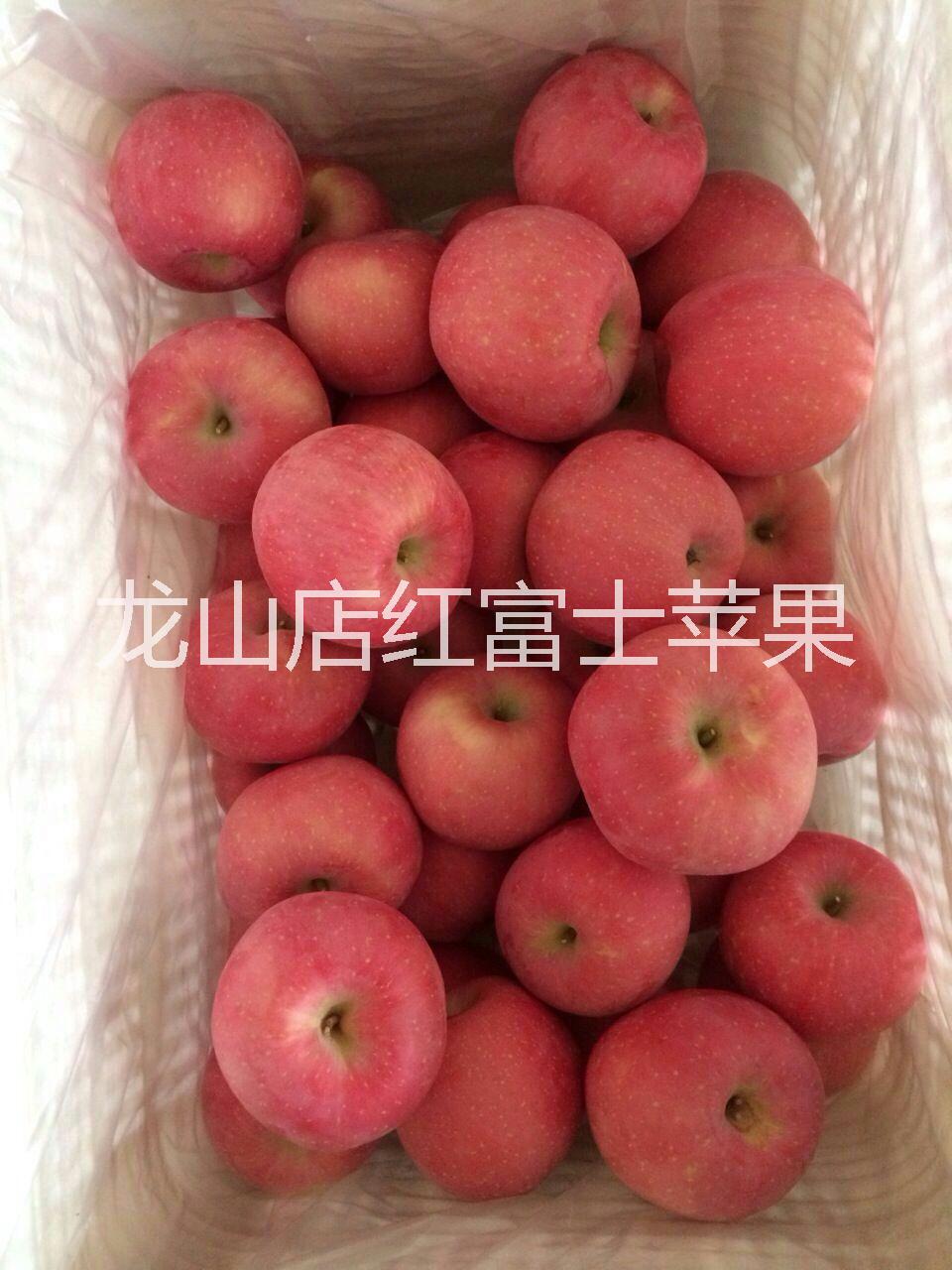 供應(yīng)煙臺(tái)嘎拉蘋(píng)果