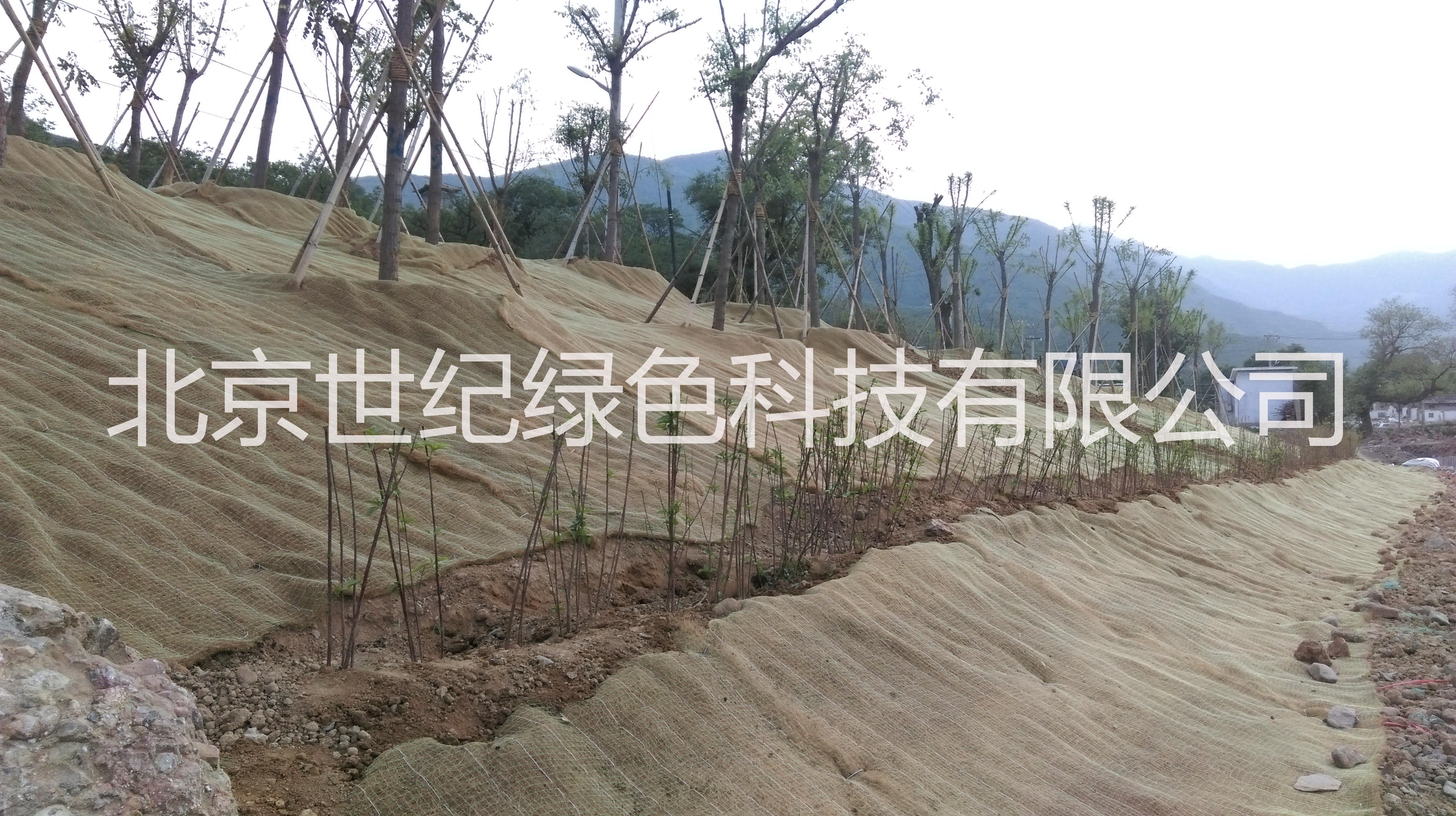 供應(yīng)邊坡綠化  河道邊坡綠化