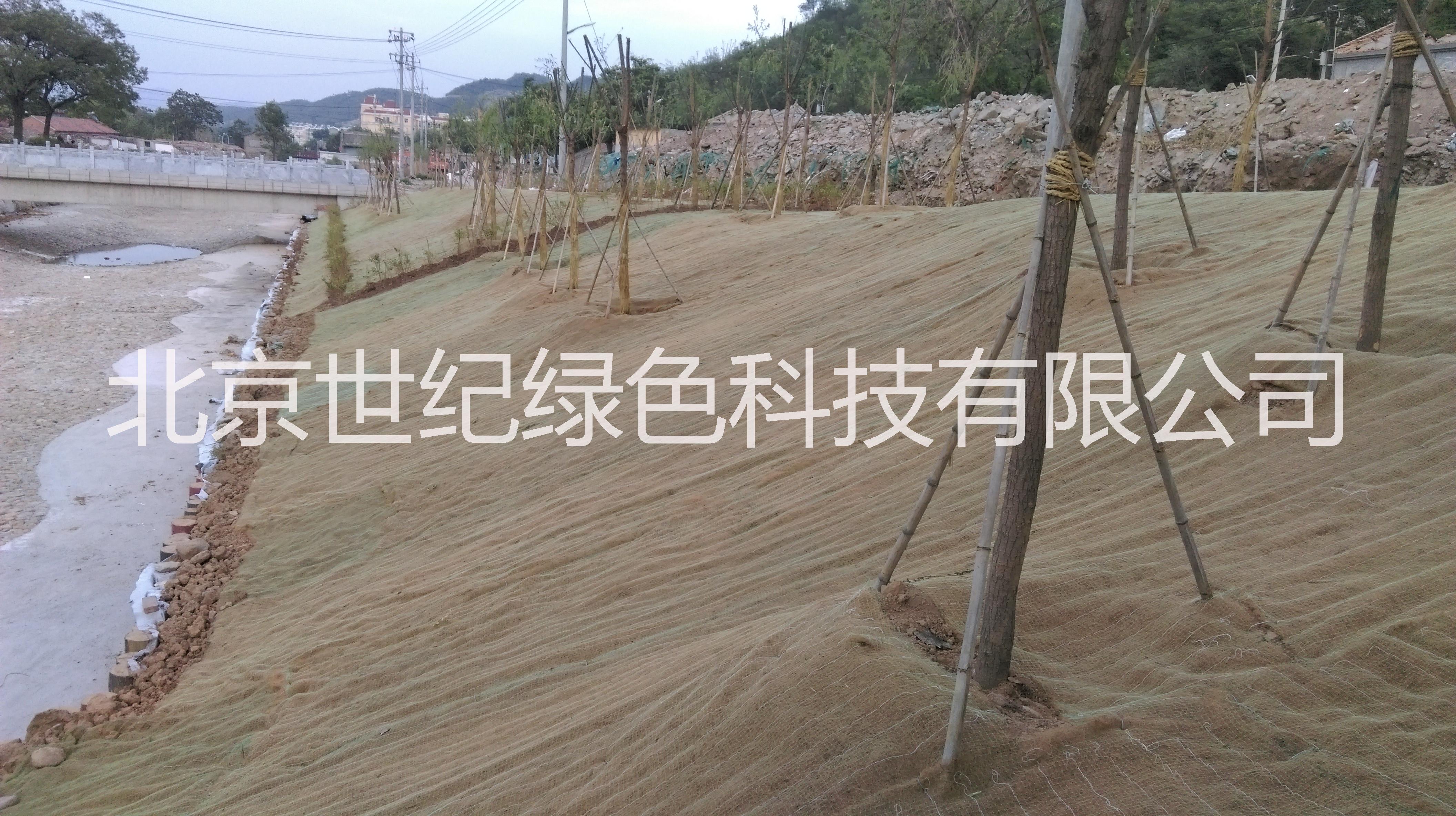 供應(yīng)生態(tài)植被毯       環(huán)保植被毯