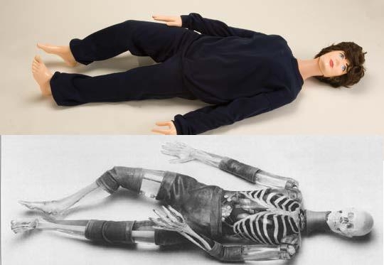 供應(yīng)X射線仿真人教學(xué)模體