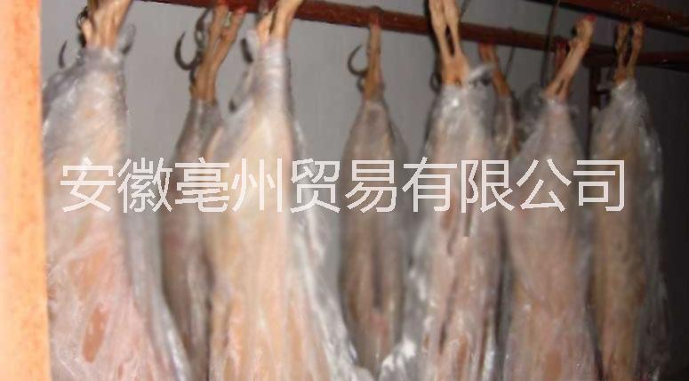 冷凍羊肉批發(fā) 羊鞭 羊排批發(fā) 冷凍羊腿批發(fā)廠家 冷凍羊腿批發(fā) 冷凍羊排批發(fā) 冷凍羊骨批發(fā) 冷凍羊*批發(fā) 冷凍羔羊排批發(fā)