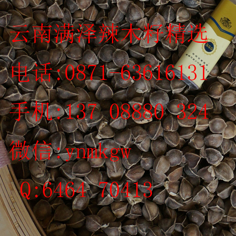 昆明辣木籽 種子，食用 種植云南滿澤優(yōu)質(zhì)辣木籽，昆明辣木籽種植，昆明辣木籽育苗，辣木籽的食用方法，辣木籽，辣木茶，辣木葉