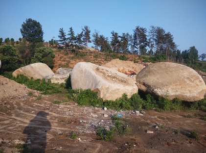 駁岸石 河南大鵝卵石價(jià)格