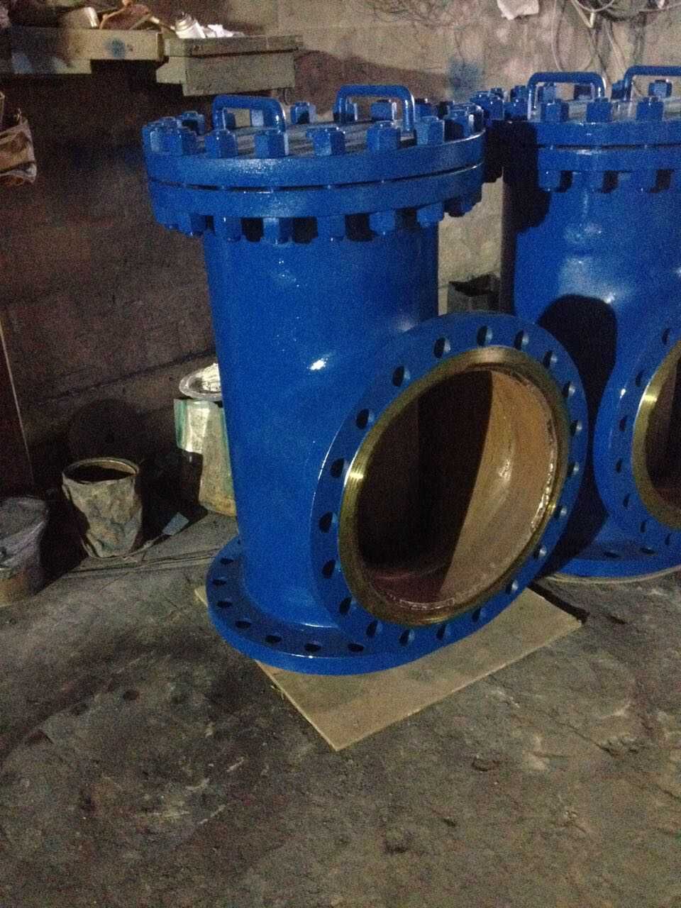 供應(yīng)徐州碳鋼折流式T型過濾器帶法蘭廠家現(xiàn)貨批發(fā)包郵