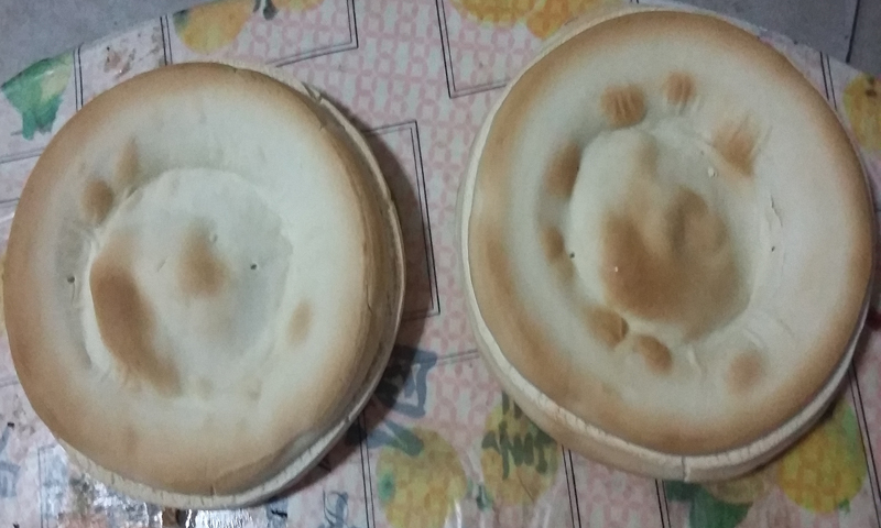 供應(yīng)萊蕪火燒爐