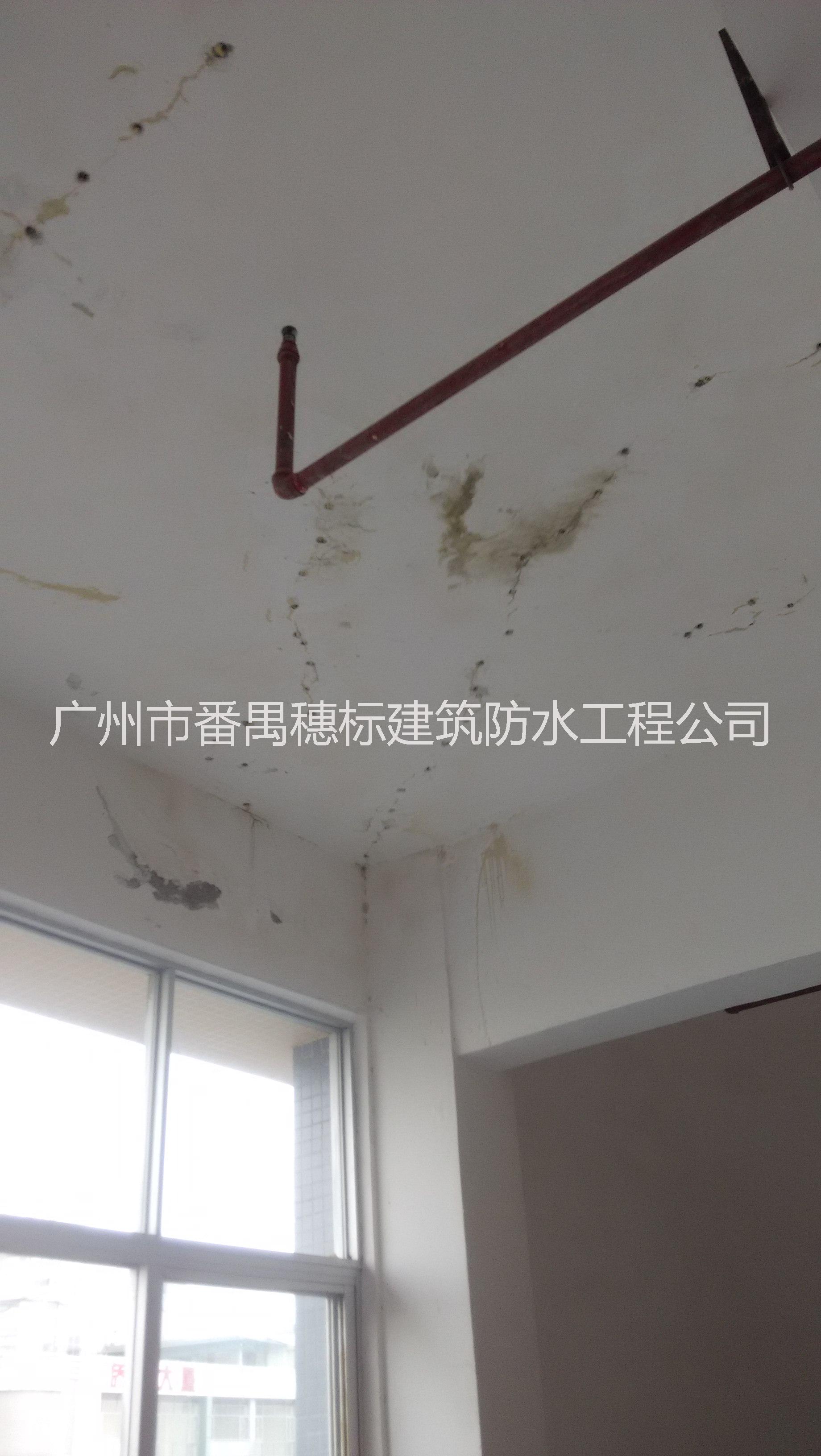 供應(yīng)番禺沙灣建筑屋面外墻水池防水補漏施工