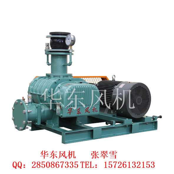 供應羅茨真空泵升壓泵/增壓泵/真空泵/專業(yè)魯氏真空泵廠家直銷