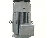 供應(yīng)DMC系列永磁交流電機  DMC系列永磁交流電機廠家