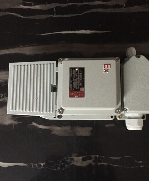 供應(yīng)陜西西安市防爆腳踏開(kāi)關(guān)現(xiàn)貨 藍(lán)田縣精密防爆腳踏開(kāi)關(guān)