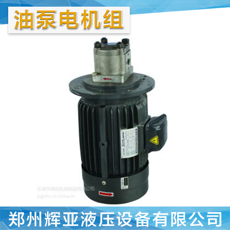 【廠家供應(yīng)】油泵電機(jī)組 耐磨電機(jī)組 *