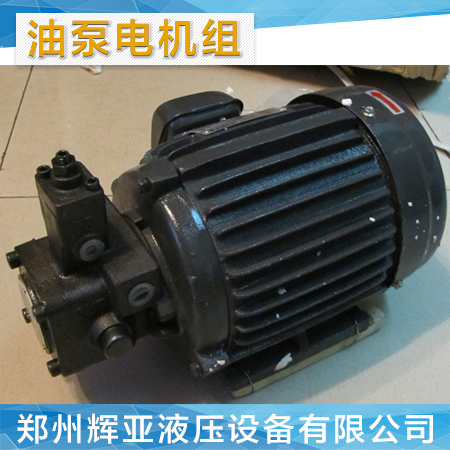 【廠家供應(yīng)】油泵電機(jī)組 耐磨電機(jī)組 *