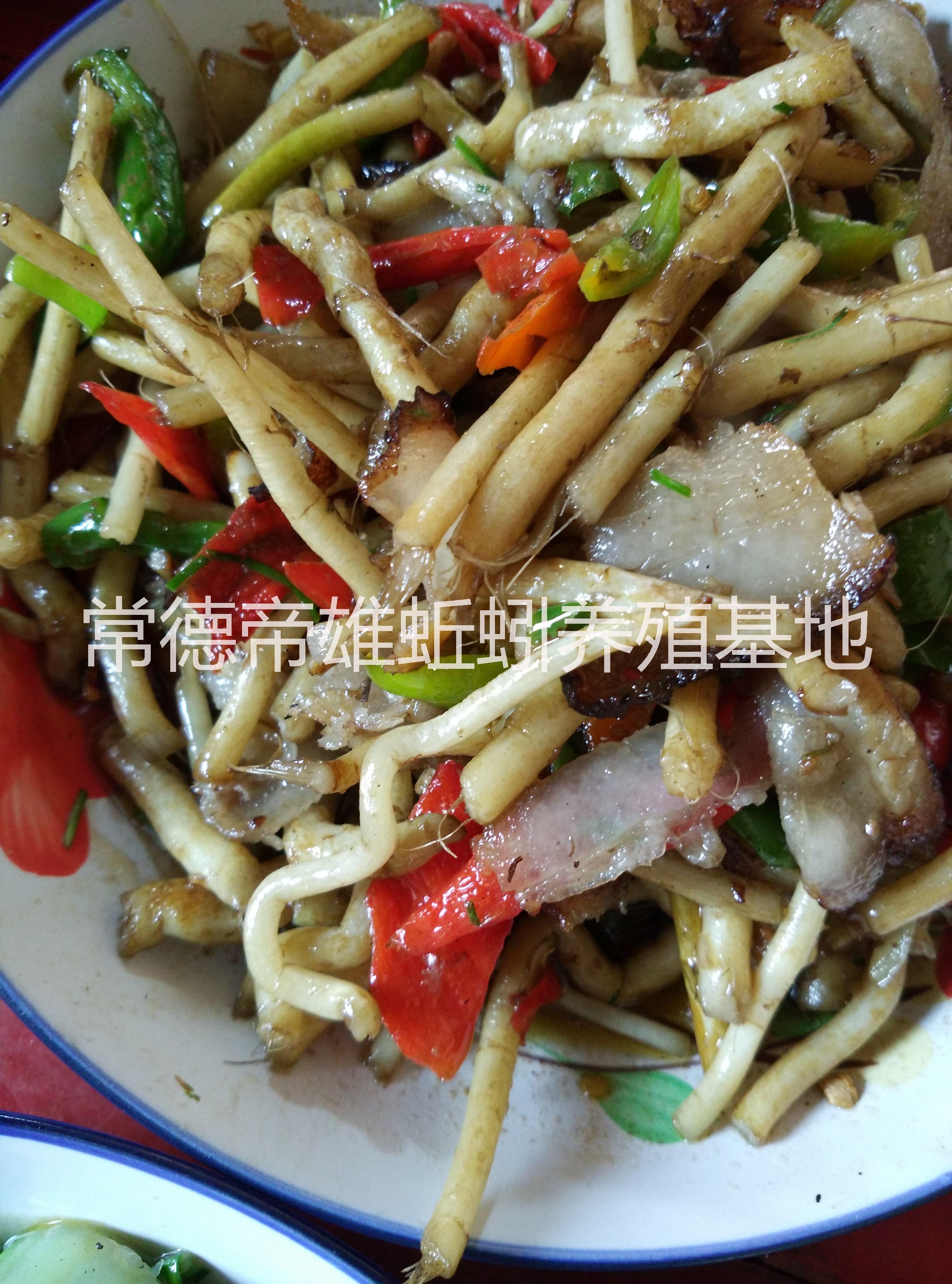 供應(yīng)5斤裝白金蒿有機(jī)藜蒿蘆蒿 洞庭湖野菜反季野菜 養(yǎng)生菜 湖南野菜 常德帝雄有機(jī)農(nóng)業(yè)