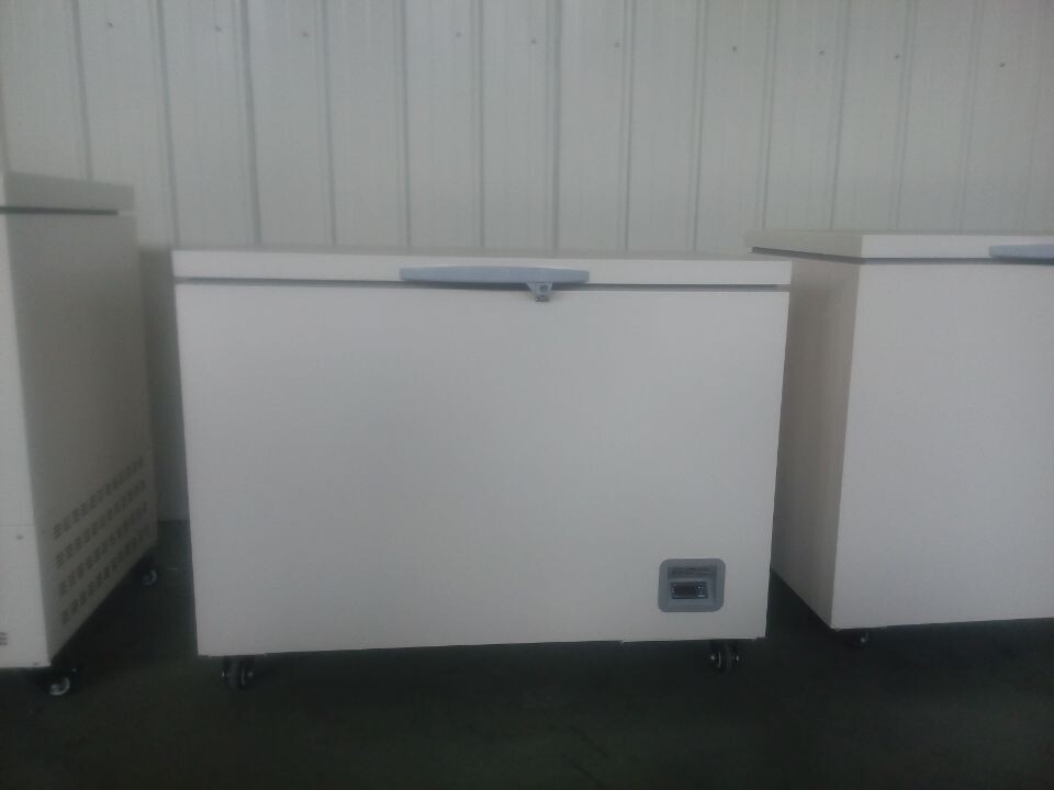 供應(yīng)永佳-60度冰柜216升臥式 零下60度冰柜 零下六十度冰箱 零下六十度冰柜 60度超低溫冰箱 零下60度低溫保存箱