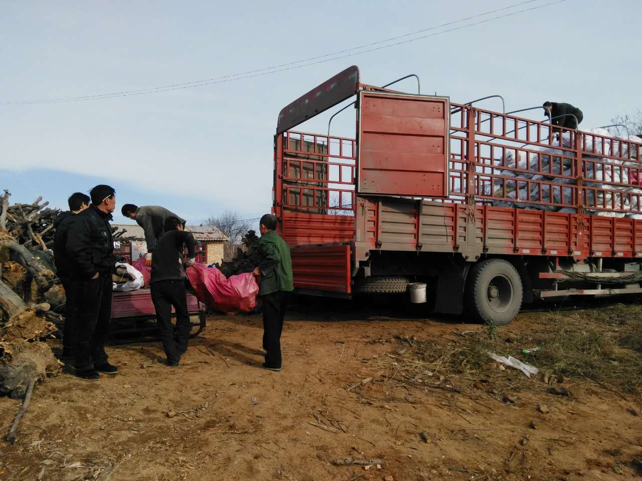 供應(yīng)用于燒烤的純蘋果木燒烤劈柴