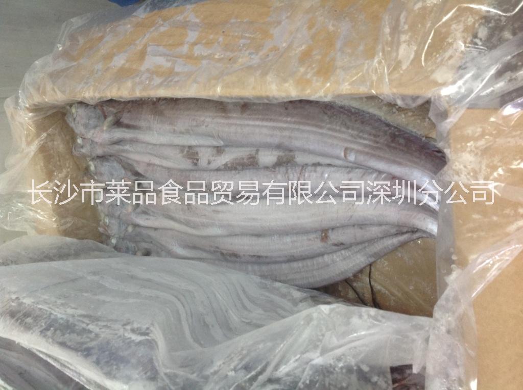 供應用于食用加工的供應中東優(yōu)質釣帶網(wǎng)帶魚，墨魚