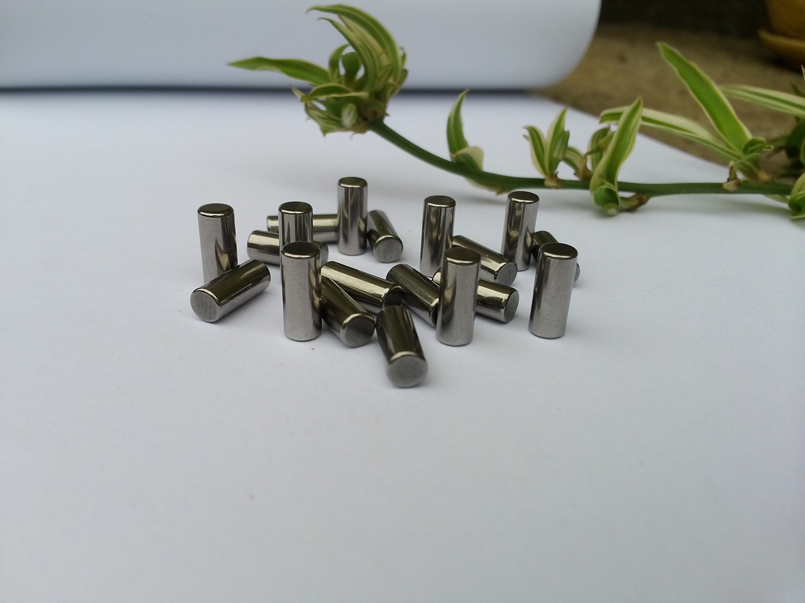 廣東深圳4X4精密滾子供應(yīng)商,精密滾子客戶青睞,廣州精密滾子采購(gòu) 4*4精密滾子