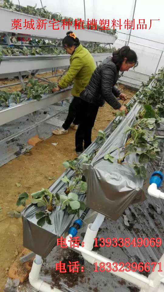 供應(yīng)大棚草莓立體栽培槽 草莓無土栽培槽