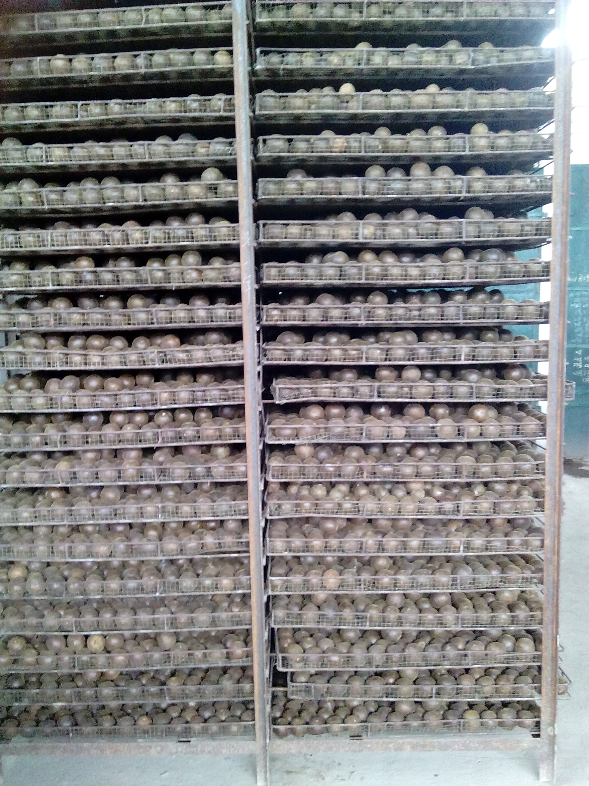 供應(yīng)廣西羅漢果干果，廣西羅漢果報(bào)價(jià)，廣西羅漢果干果批發(fā)