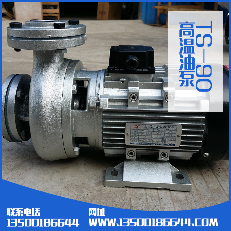 供應(yīng)TS-90油泵生產(chǎn)廠家批發(fā) 導(dǎo)熱油泵廠家直銷