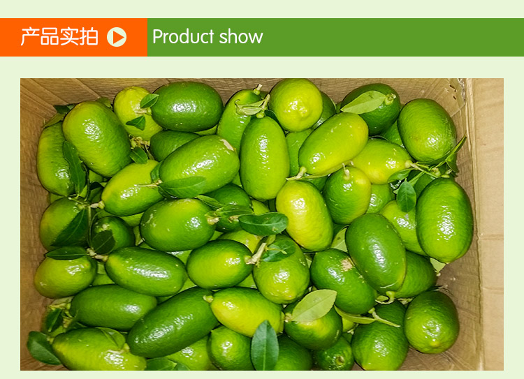 廣西新鮮檸檬 新鮮檸檬批發(fā) 新鮮檸檬價(jià)格 新鮮檸檬哪里有