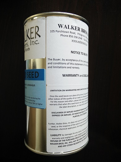 供應(yīng)綠龍?zhí)J筍苗、雜交蘆筍種子 綠龍?zhí)J筍苗種植基地、綠龍?zhí)J筍苗供應(yīng)商