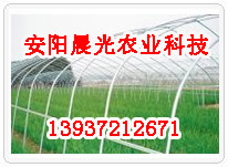 供應(yīng)安陽(yáng)鋼管鍍塑大棚骨架機(jī)