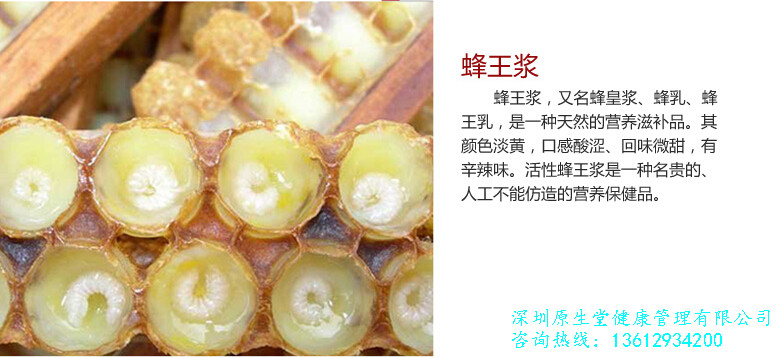供應用于保健養(yǎng)生的深圳蜂王漿批發(fā)價格，深圳蜂王漿批發(fā)電話，深圳蜂王漿報價