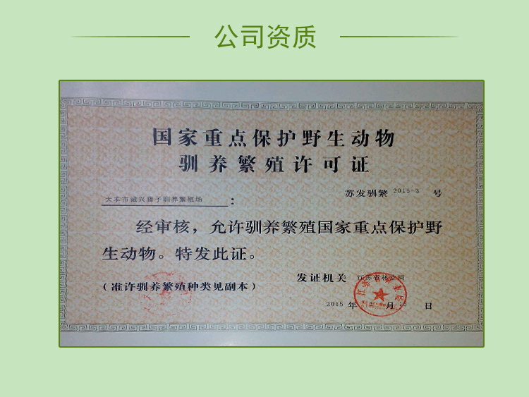 江蘇獐子養(yǎng)殖|江蘇獐子養(yǎng)殖報價@江蘇獐子養(yǎng)殖公司@江蘇獐子養(yǎng)殖