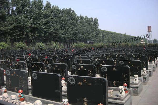 供應(yīng)天津天福陵園福貴苑五區(qū)