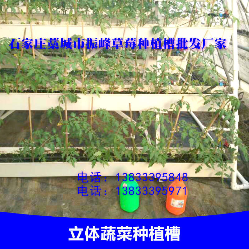 河北立體蔬菜種植槽優(yōu)質供應商
