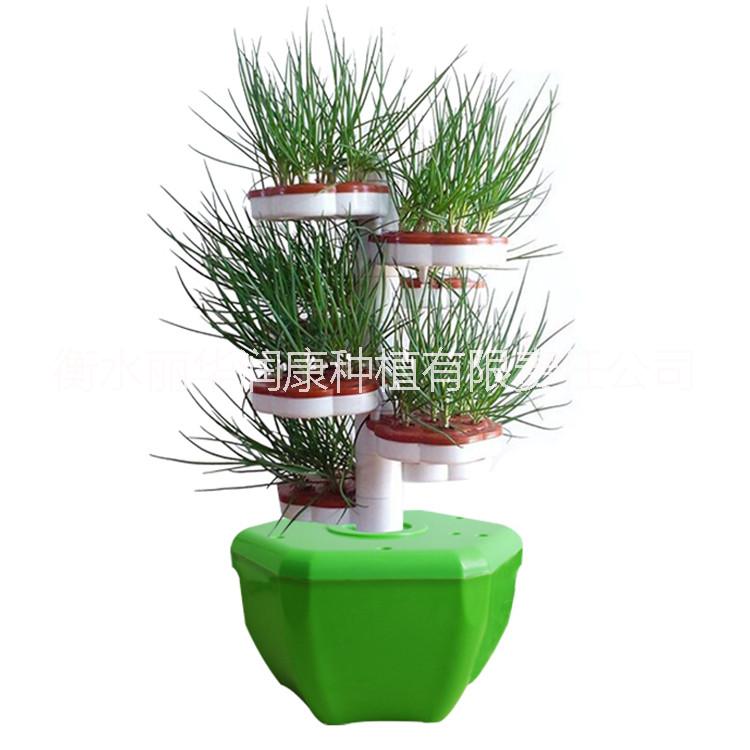 供應螺旋柱式無土栽培設備陽臺種植花盆菜盆