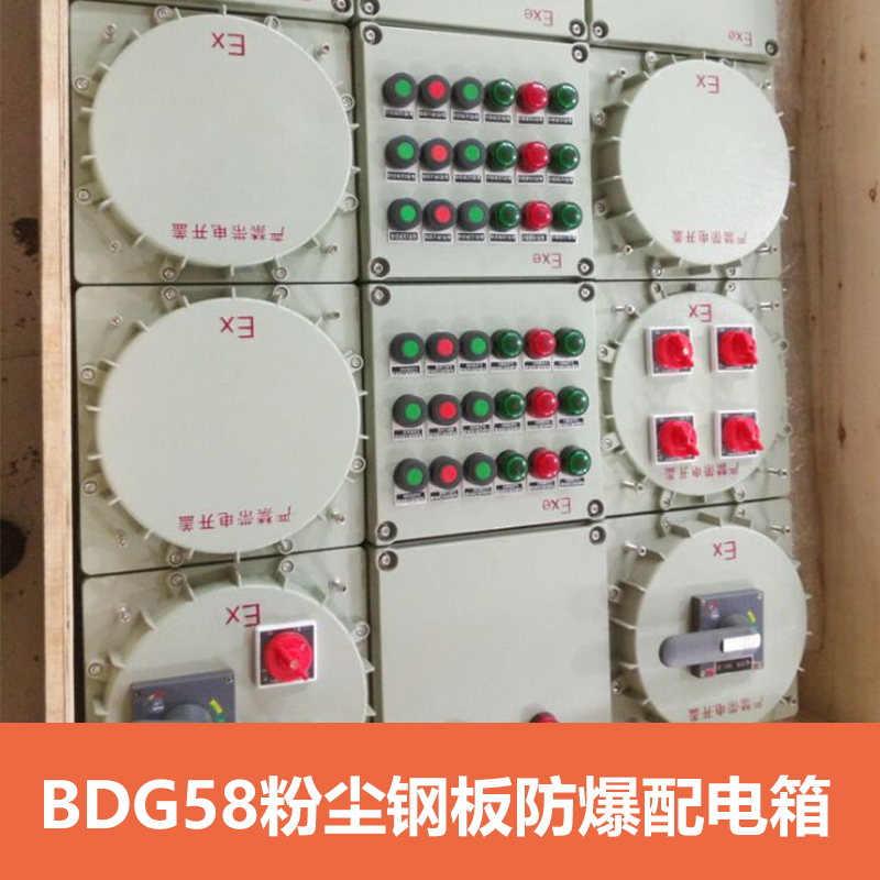 供應(yīng)BDG58系列防爆配電箱 防爆照明配電箱 上海防爆控制箱廠家直銷