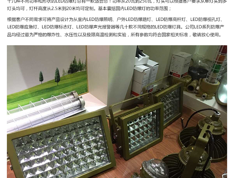 供應重慶市梁平縣300瓦LED防爆燈  LED防爆泛光燈規(guī)格 LED防爆燈具