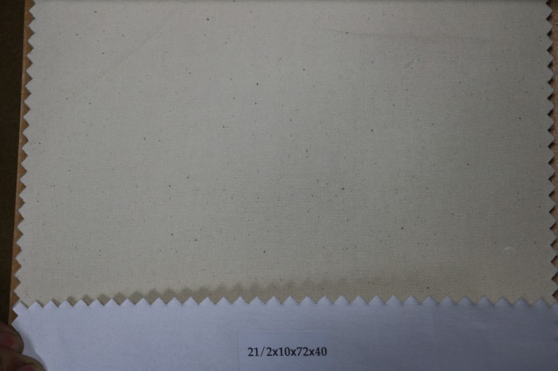 供應(yīng)坯布21/2*10*72*40