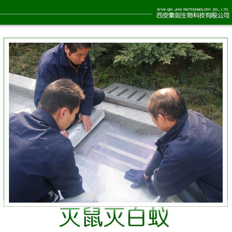 供應(yīng)陜西滅鼠滅白蟻 滅鼠劑 白蟻粉價(jià)格 專業(yè)滅鼠滅白蟻服務(wù)