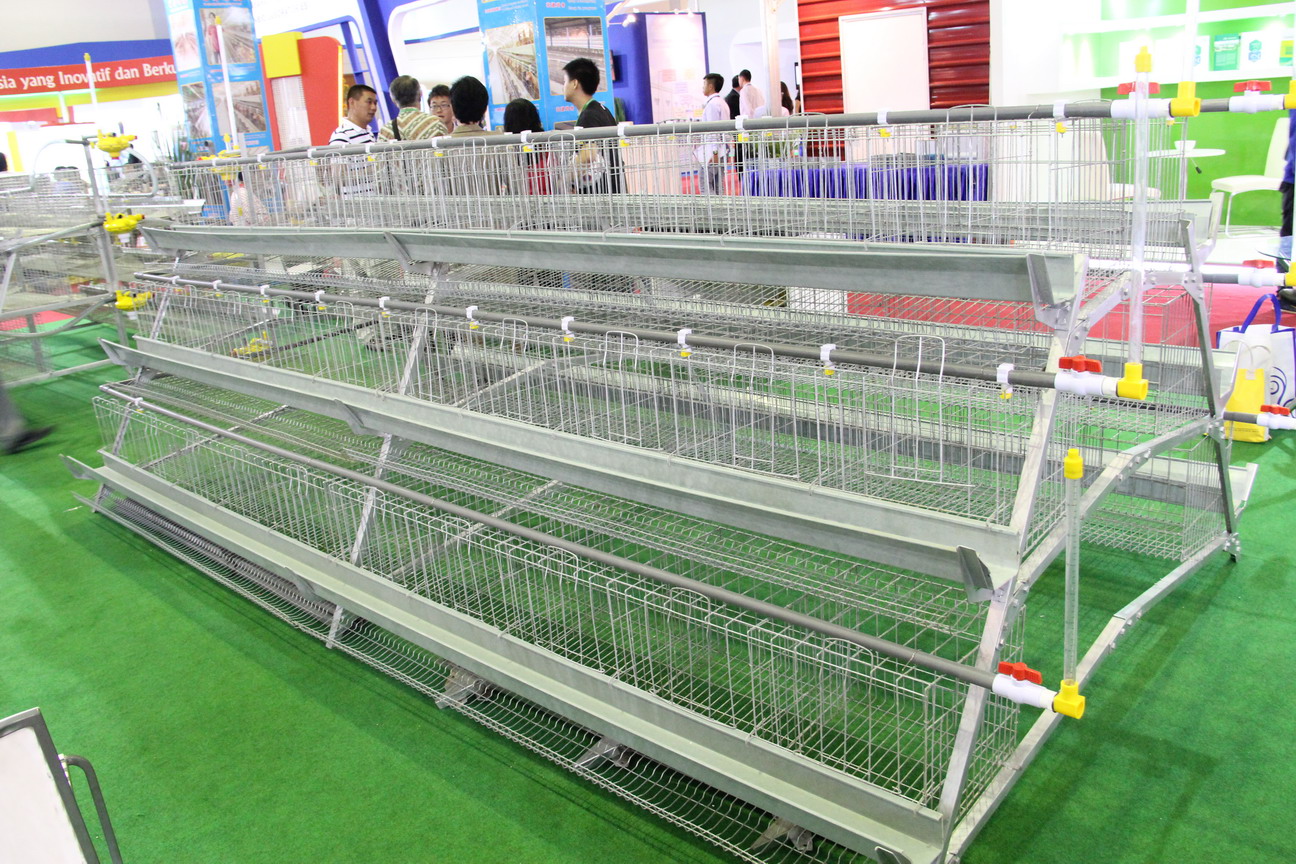 供應(yīng)方圓銷售的蛋雞籠，自動化養(yǎng)雞設(shè)備