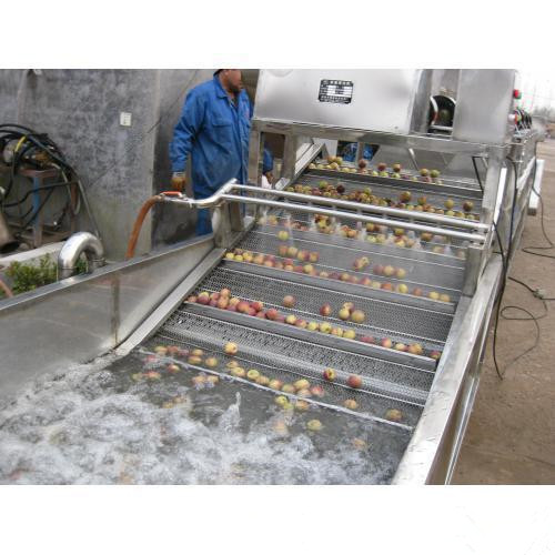 供應(yīng)安諾其果蔬清洗機(jī)全自動 果蔬清洗機(jī)運行平穩(wěn) 使用壽命長可加工定制高壓清洗
