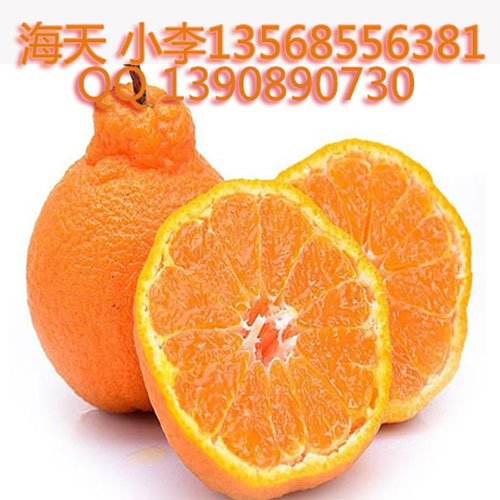 供應(yīng)用于不知火果樹|丑柑果樹|柑橘樹的不知火苗丑柑苗柑橘苗水果苗