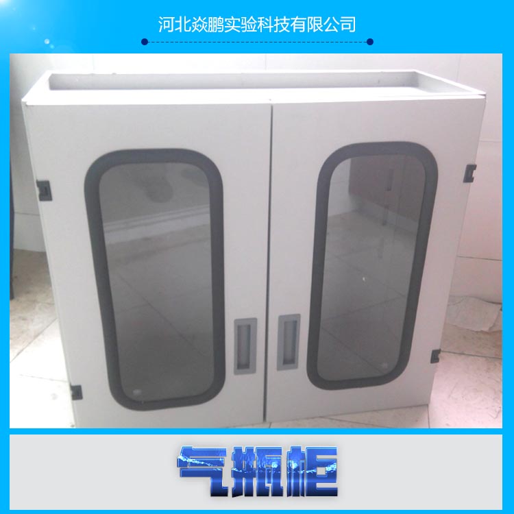 供應(yīng)防爆型氣瓶柜 實(shí)驗(yàn)室*氣瓶柜