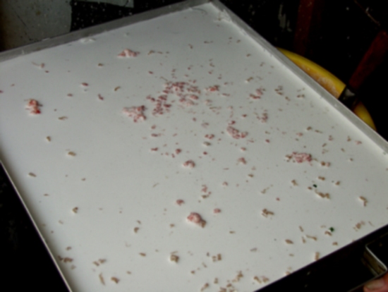 供應(yīng)石磨米漿腸粉機 米漿機